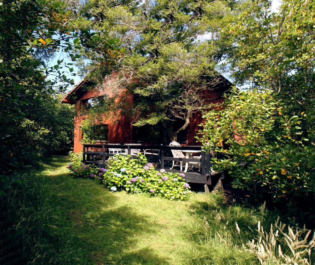 Cabanas Natural Park Lodge Pucón Exteriör bild